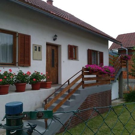 Apartman Nina Licko Petrovo Selo ภายนอก รูปภาพ