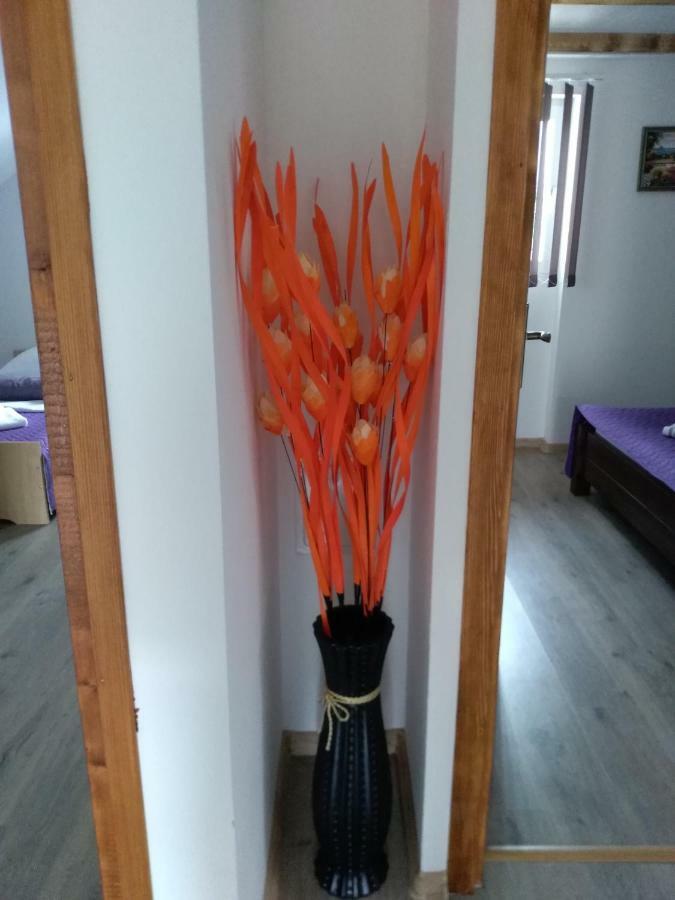 Apartman Nina Licko Petrovo Selo ภายนอก รูปภาพ